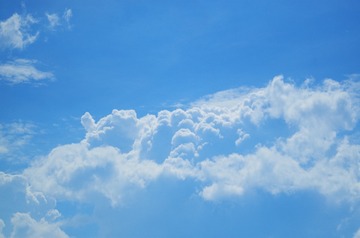 62203