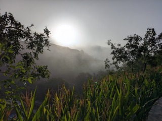 1000013056