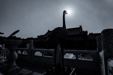 10600D0C-7A21-40BC-9AD4-7975A6191E26/L0/001