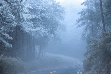 B8C1B54F-0FD1-4C37-949D-9D15F9AF6F2A/L0/001