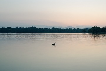 A3C5BB1D-309E-4DF5-A0C8-C00FBDD40F94/L0/001