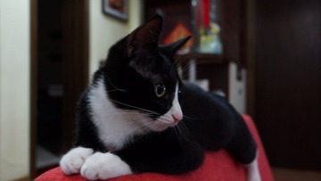 DSC00813.jpg