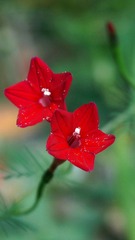 DSC05261.JPG