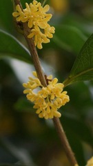DSC05266.jpg