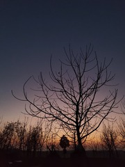 1000036478