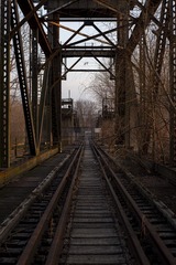 1000052087