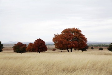 IMG_8490.jpg