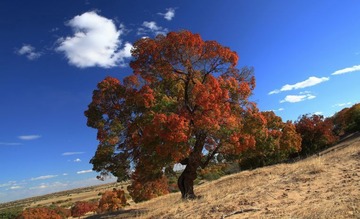 IMG_8852.jpg