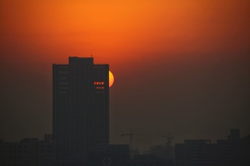 876639
