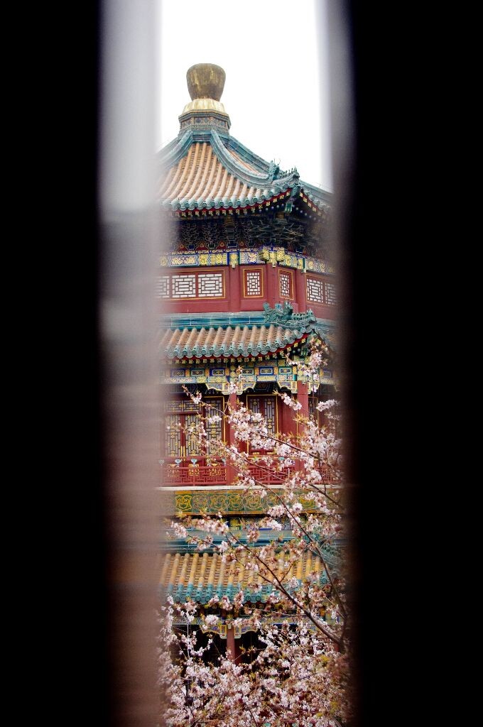 春色尽窥<br />
