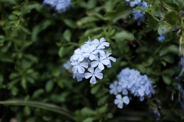 13B90F63-7B98-475B-A53E-FB528CF62843/L0/001