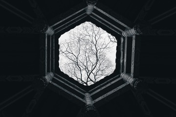 1000082726
