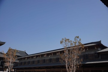 16087