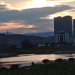 90647