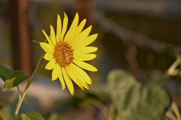 F42CF327-13EE-44DD-B939-8E2CE4732CAF/L0/001