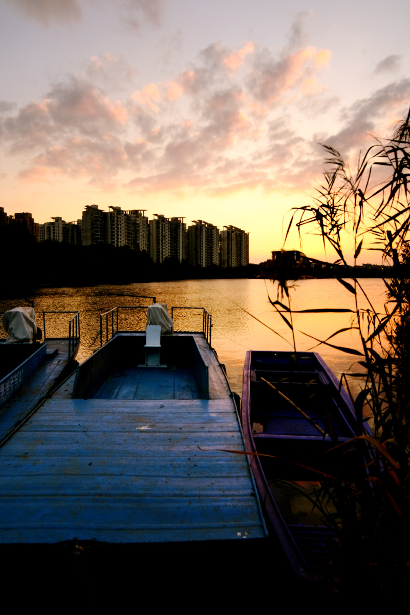上海青浦夏阳湖