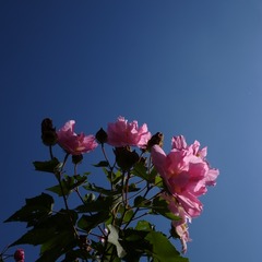 A31CF510-ADBB-4D5E-BDCC-4842C8F0724F/L0/001