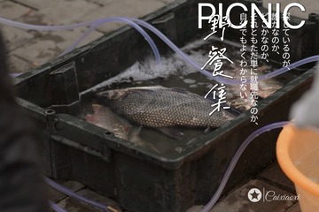 690D4377-F83A-494D-B7B5-3849DA964836/L0/001