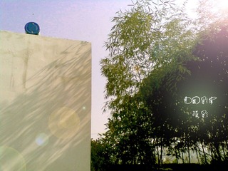 2011020450