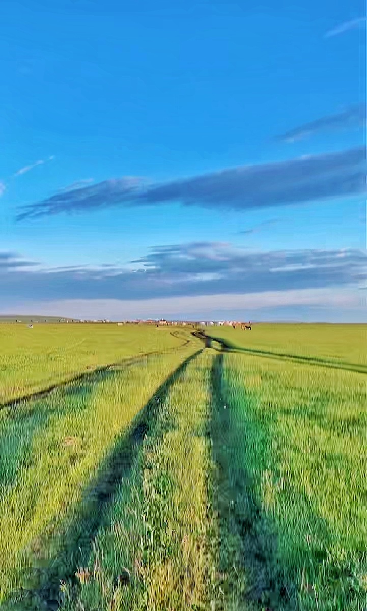 美丽的呼伦贝尔大草原