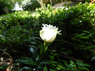 DSCN2866.JPG
