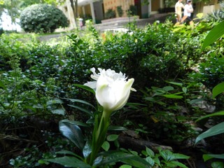 DSCN2867.JPG