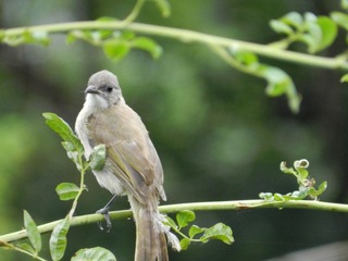DSCN3322.JPG