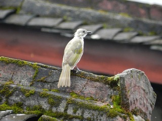 DSCN3319.JPG