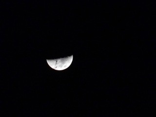 DSCN4668.JPG