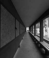 DSCN4847.jpg