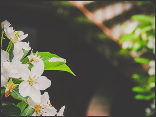 DSCN5321-2.jpg