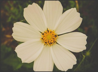 DSCN5721.jpg