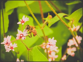 DSCN5759.jpg