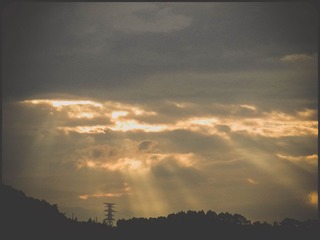 DSCN6542.jpg