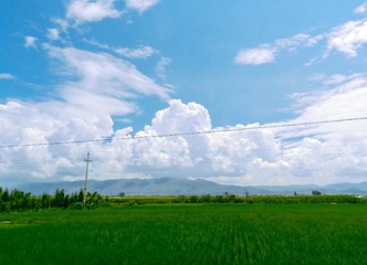 DSCN8596-2.jpg