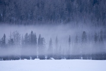 476630
