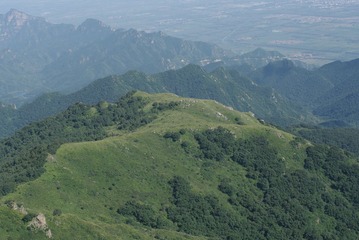 LBY_5070