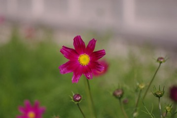 LBY_6645