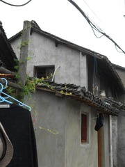 DSCN4719.jpg