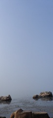 1000019414