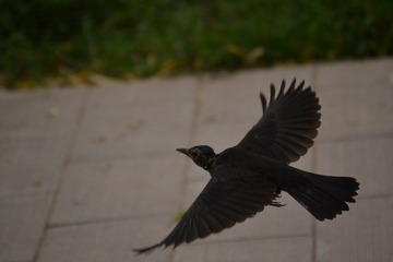 DSC_0114.JPG