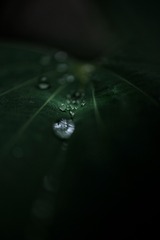 A68171F4-3558-4B9F-BB8B-C144A85CD435/L0/001