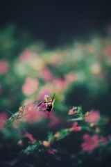 40A0ED66-8EB8-4FC5-88AA-C6D9C6E3F0B5/L0/001