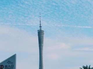 5175550