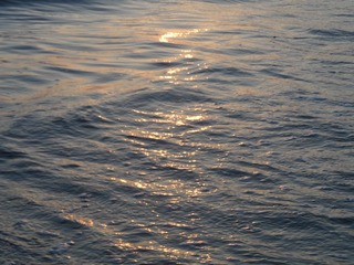 D7B95421-BA53-4A27-864C-B4CCD1C7D4B7/L0/001
