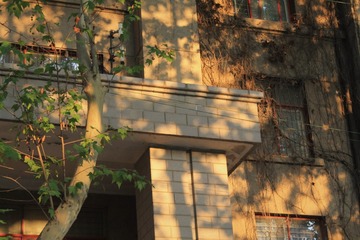BD59BD5E-21CA-46ED-AA16-1637EC67587D/L0/001