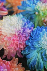 4D9E738A-51AE-4BCC-BD62-792488CA531C/L0/001