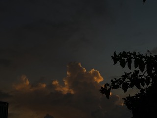 6E8EE748-0AD1-4BCA-9CE7-9491CE63C8EA/L0/001