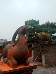 2468528