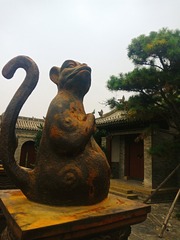 2468529